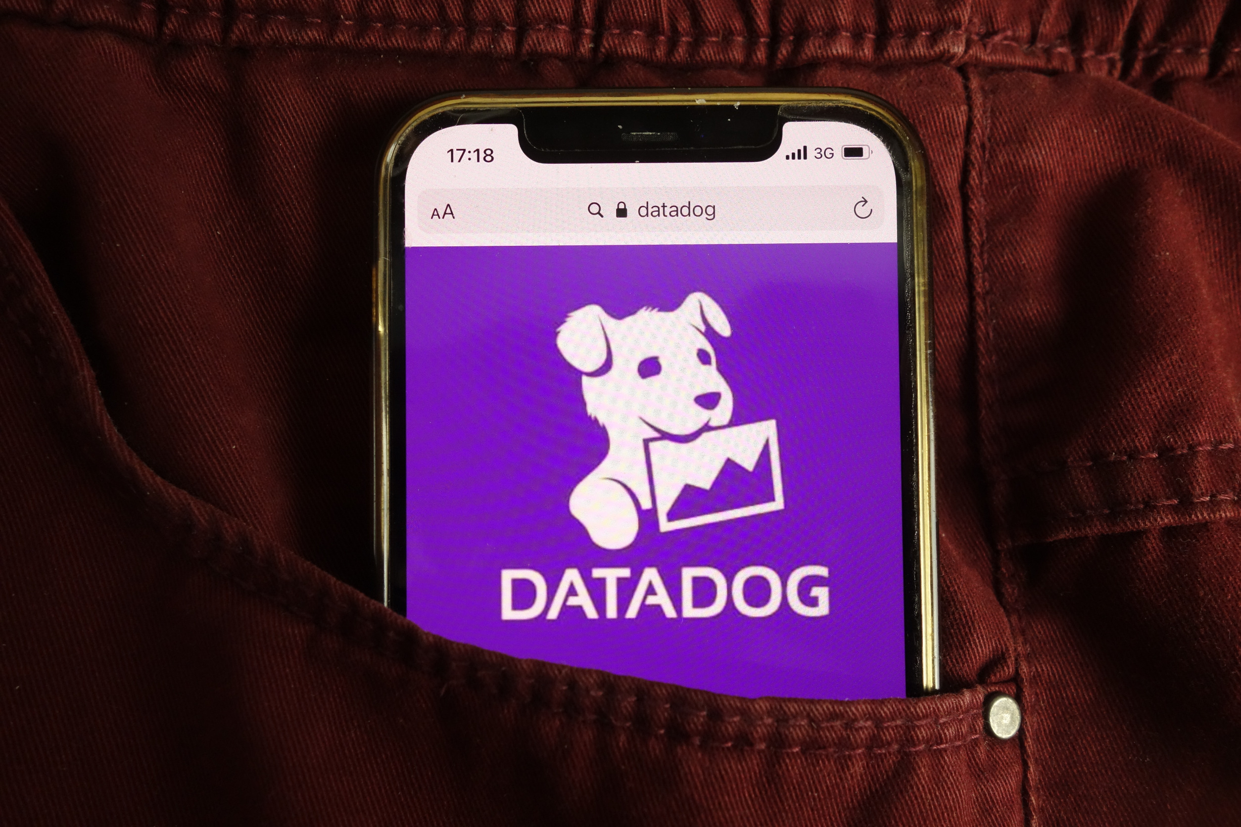 datadog q4 earnings sufficient to justify a 230x earnings multiple?